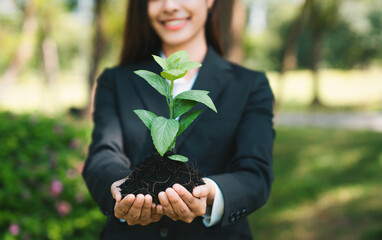 Asian businesswoman holding plant as concept of eco company committed to corporate social...