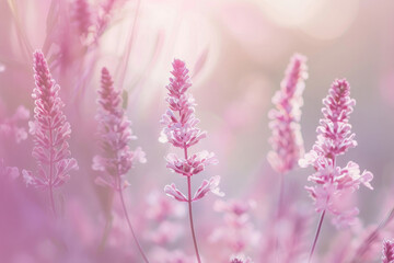 Soft pink hues inspiring joy