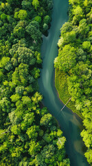 River and green forest in Tuchola natural park, aerial view - obrazy, fototapety, plakaty
