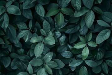 Abstract texture of green leaves against a dark nature background