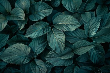 Abstract texture of green leaves against a dark nature background