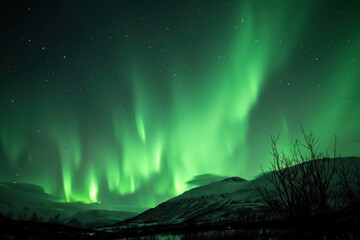 Spectacular display of the Northern Lights (Aurora Borealis) over snowy mountains under a starry sky, vivid green lights dance across the horizon. - Powered by Adobe