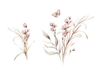 Set of watercolor botanical autumn illustration branches and light pink flowers. Autumn floral illustration and butterfly. Fall vibes. Hand painted drawing isolated on background. herds pastel color