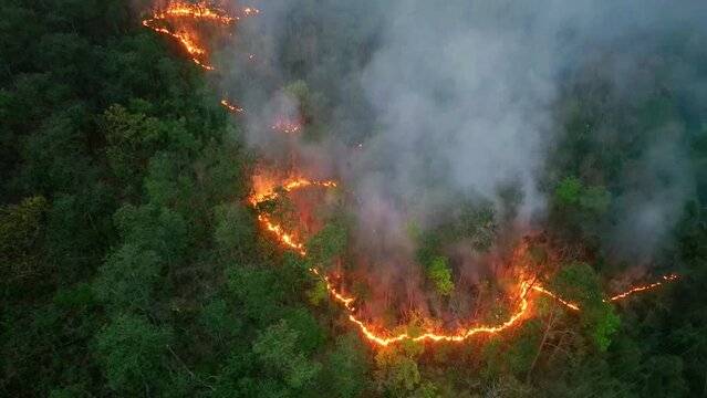 Wildfires in tropical forest release carbon dioxide (CO2) emissions and other greenhouse gases (GHG) that contribute to climate change.