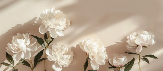 Bohemian-look floral arrangement showcasing stylish white peonies and their shadows in sunlight, set against a soft beige background in a top-down view.