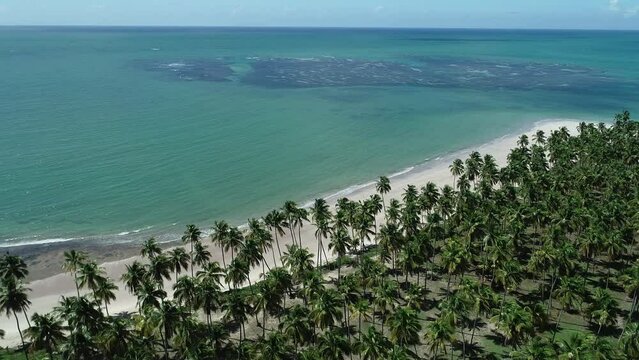 Aerial view of Carneiros Beach - Tamandar&eacute;, Pernambuco, Brazil