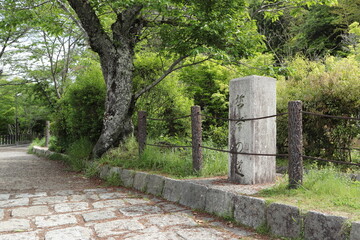 京都　哲学の道の石碑