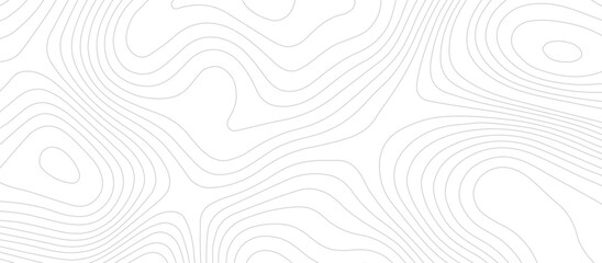 Abstract Topographic map background with wave line. Panorama view gradient multicolor wave curve lines banner background design. Vector illustration. wave Line topography map contour background.