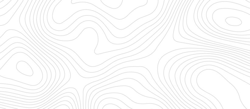 Abstract Topographic map background with wave line. Panorama view gradient multicolor wave curve lines banner background design. Vector illustration. wave Line topography map contour background.