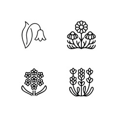 Icon set of flower. Editable vector pictograms isolated on a white background.