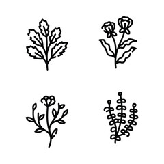 Icon set of flower. Editable vector pictograms isolated on a white background.