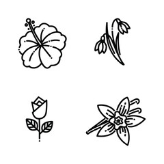 Icon set of flower. Editable vector pictograms isolated on a white background.
