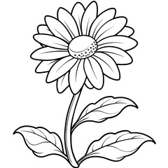 Daisy flower plant outline illustration coloring book page design, Daisy flower plant black and white line art drawing coloring book pages for children and adults