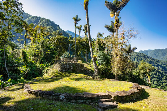 Hidden ancient ruins of Tayrona civilization Ciudad Perdida in the heart of the Colombian jungle Lost city of Teyuna. Santa Marta, Sierra Nevada mountains, Colombia wilderness