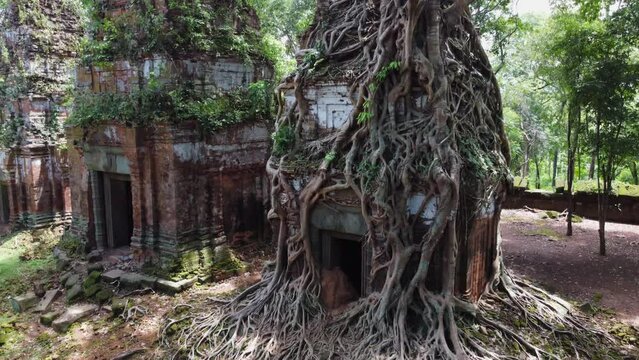 Aerial: Tree roots cover ancient Khmer stone tower at Koh Ker Cambodia