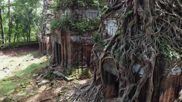 Stone towers at ancient Koh Ker temple, Cambodia overgrown with trees