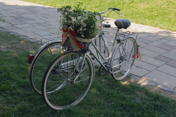 Two retro bicycles and a basket of flowers