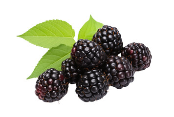 pile of ripe and delicious blackberries with fresh green leaves, served on a transparent background. Generative AI