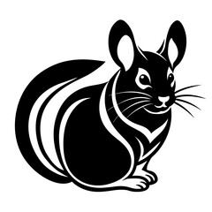Chinchillas vector illustration art