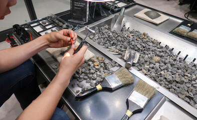 福井県勝山市の化石の発掘体験施設 © goro20