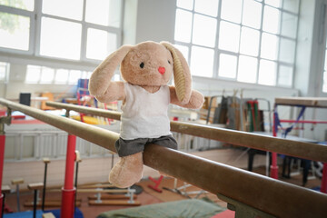 The hare athlete is engaged in gymnastics equipment