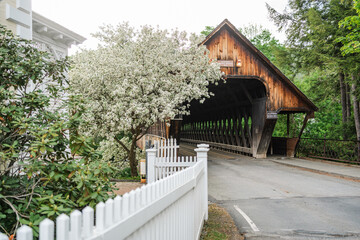 Woodstock Vermont Covered Bridge in Springtime Blooming Tree