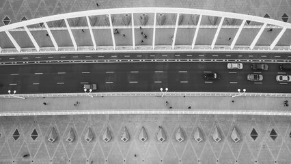 Aerial Symmetry: Valencia's Bridge in Monochrome