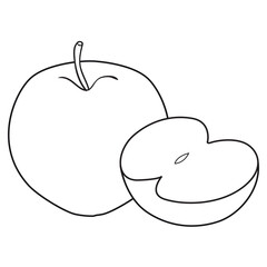 apple line vector illustration