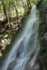 Obraz premium 曼荼羅の滝