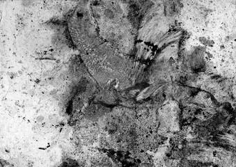 Abstract background. Different shades of gray, black and white colors. Dull shades. Marble effects. Irregular spots and drops. Neutral, calm background.