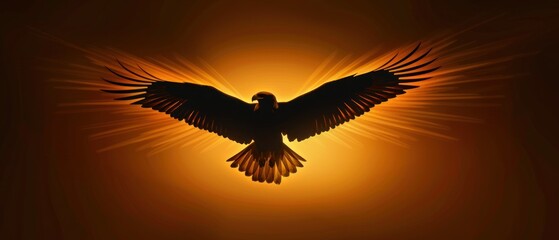 A sleek silhouette of a soaring eagle, illuminated by a soft golden glow, showcases customer ratings in a minimalist style.