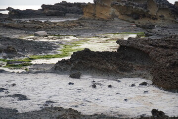 Fototapeta premium 五色浜の岩場