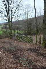 FU 2023-03-12 Steinbach 305 Im Wald steht ein Zaun