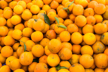Citrus sell in the fruit store in the market