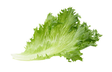 fresh Frillice Iceberg Lettuce on transparent png
