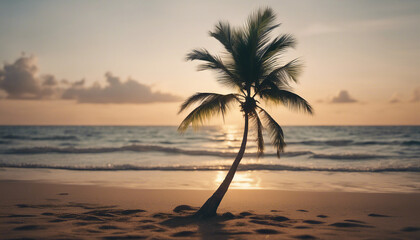 tall coconut tree with a single branch reaching to the sea on the beach in a tropical location, side view
