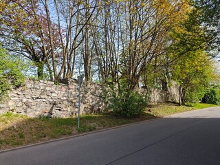 road in the countryside