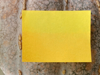 Yellow adhesive note paper on green pumpkin background for copy space. Stock photo.