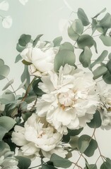 wei&szlig;e Pfingstrosen und Eukalyptus 