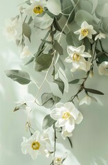 wei&szlig;e Narzissen und Eukalyptus