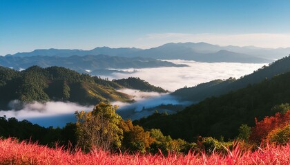 autumn season forest and nature landscape view of mountain background, natural scenery in morning time with fog over the hill; outdoor travel by hiking concept. Generative AI