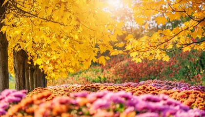 autumn season flowers in a park, colorful during fall color leaves and scenery outdoor background. Generative AI