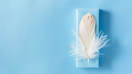 Tampons storage box with feather on blue background 