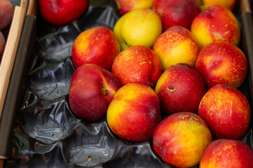 nectarines for sale at a fruit stand