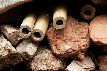 close up detail of a insect or bug hotel or condominium