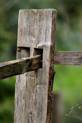 close up detail of the top of a post and rail wooden fence isolated on a natural green background