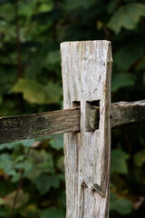 close up detail of the top of a post and rail wooden fence isolated on a natural green background