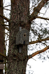 Bird house on tree trunk Kumla Sweden
