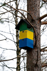 Bird house on tree trunk Kumla Sweden
