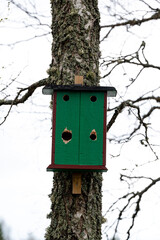 Bird house on tree trunk Kumla Sweden